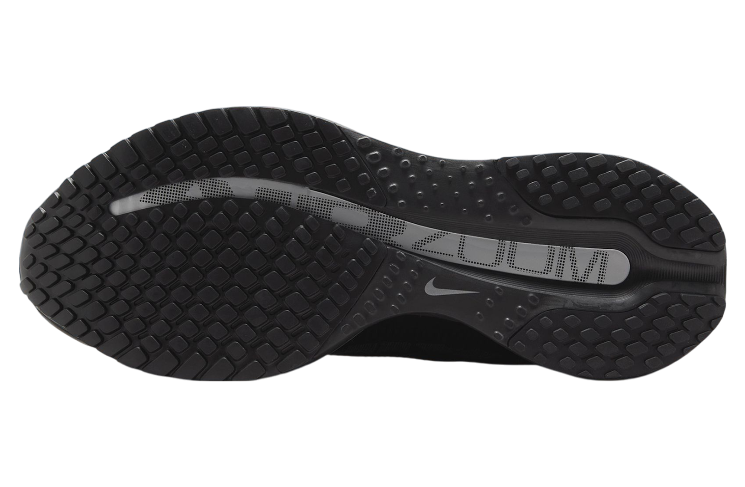 Pegasus Premium Black / Metallic Silver